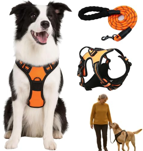 Anti-Zieh-Geschirr – Verstellbares & Gepolstertes Geschirr mit Step-in Design für kleine bis große Hunde (orange, XL: für 22.5-45 kg)