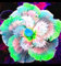 Hibiskuszwiebeln,Gartenblumen,Vier-Jahreszeiten-Pflanzen,Hibiskus,GroßE Und Bunte Blumen,Topfpflanzen,Hibiskus Pflanze Winterhart-1Rhizome-C