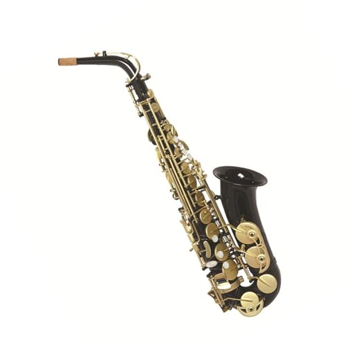 Saxophone für Musikliebhaber Schwarz lackiertes Es Altsaxophon perfekt für übende Musiker