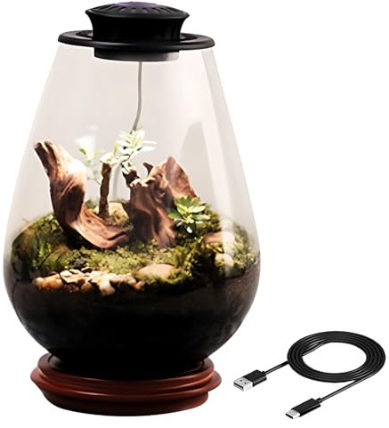 Terrario de cristal para plantas con luz LED OVNI, mini ecosistema de escritorio con musgo, negro claro 5V/2A, decoración ideal para oficina y hogar, incluye cable tipo C y botella de goteo