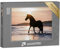 puzzleYOU: Puzzle 1000 Teile „Schwarzes Pferd trabt frei am Strand gegen das Abendlicht“ – aus der Puzzle-Kollektion Pferde, Friesenpferde