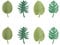 8Pcs Fridge Magnets, Jagowa Monstera Plant 3D Fridge Magnets Tropical Leaves Decorations for Refrigerator Cabinets Home Office