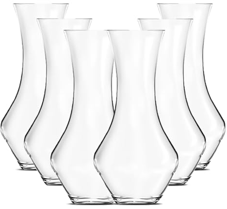 JUANIO Lot de 6 Carafe à vin, broc en Verre Transparent, pichet à Eau, à Boisson, capacité 950 ML - Diamètre 12 x Hauteur 22 cm
