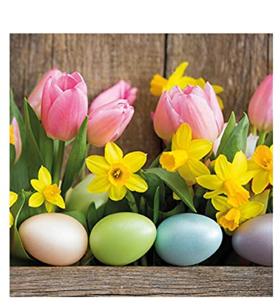 Premium Collection by Jean 20 Stück Servietten Ostern bunte Eier Muster
