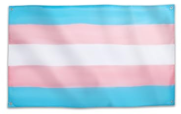 Runesol Bandiera Transgender, 91x152 cm, Bandiera Trans, Bandiera Gy Pride, LGBTQ+, Parade, Festival, Festa, Carnevale, Bandiere Alta Qualità, Interni, Esterni