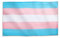 Runesol Bandiera Transgender, 91x152 cm, Bandiera Trans, Bandiera Gy Pride, LGBTQ+, Parade, Festival, Festa, Carnevale, Bandiere Alta Qualità, Interni, Esterni