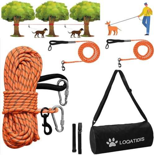 LOQATIDIS 3En1 Correa para Perro Cable, Portátil Sistema Trolley Correa Reflectante para Perro, Cuerda Larga para Acampar Correr Entrenamiento al Aire Libre (100ft+2 * 10ft Naranja)