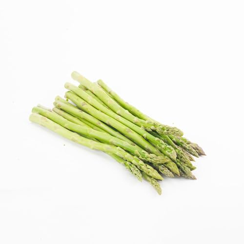 65 pcs spargel samen grün - gemüsebeet, indoor garden spargel pflanzen, Asparagus officinalism, samen gemüse, bio saatgut seltene pflanzen, samen bio pflanzensamen gemüse, garden bio
