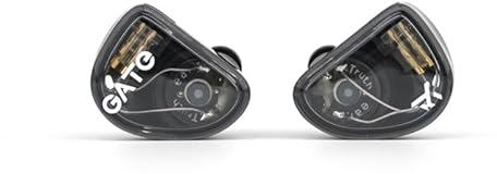 Truthear Gate In-Ear-Kopfhörer, dynamischer Treiber, 3,5 mm, austauschbares Kopfhörerkabel, mit Mikrofon, Schwarz