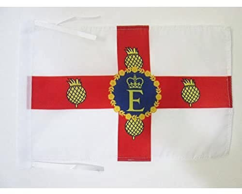 AZ FLAG - Drapeau Etendard royal de Jamaique - 45x30 cm - Pavillon Royal Jamaïcain 100% Polyester Avec Deux Cordelettes - 20g