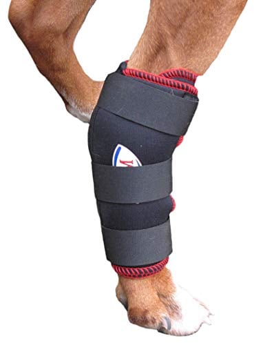 TSM Vet-Reha Hund Rehabandage für das Hinterbein, S, schwarz, 7530