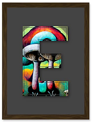 Wee Blue Coo Letter E Multicoloured Trippy Mushrooms Decorative Graffiti Mural Alphabet Initial Stencil Artwork Framed Wall Art Print A4