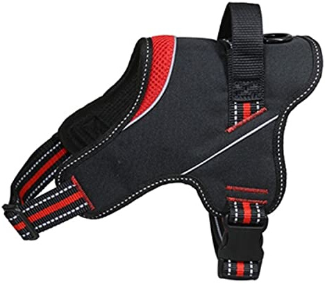 Arnés Strong Rojo T-S C 40-51 cm/P 53-67 cm