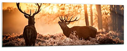 Panorama Bilder auf Glas 160x50cm Glasbild Deer Heidekraut Tier Groß XXL Wanddeko Bild im Glas Schlafzimmer Küche Wandbilder Dekoration Wohnzimmer Modern Wall Decor Wand Kunstdruck Art GAB160x50-3043