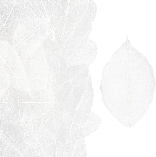 CRASPIRE 100Pcs Skeleton Natural Ficus Religiosa Leaves 4.5-5mm White Artificial Leaves Rubber Tree Dried Pressed Leaves Scrapbooking Card Wedding DIY Craft Decorative Seasonal Gift