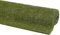 andiamo Kunstrasen Evergreen strapazierfähig robust und pflegeleicht - geeignet für Indoor und den überdachten Außenbereich mit 18mm Polhöhe 133 x 300 cm grün