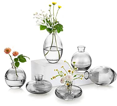 EylKoi Kleine Vasen füR Tischdeko Glas 2 Sätze(6 Stück) Grau Mini Vase Vintage Handmade Hydroponic Glasvase Blumenvase Modern Set Fuer Hochzeit Tischdeko, Zuhause Wohnzimmer Blumen Rose