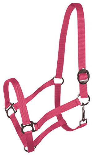 York Nylonhalfter Halfter Genickstück Verstellbar durch Schiebeschnalle Harmony Pferdehalfter (Pony, korallrot)