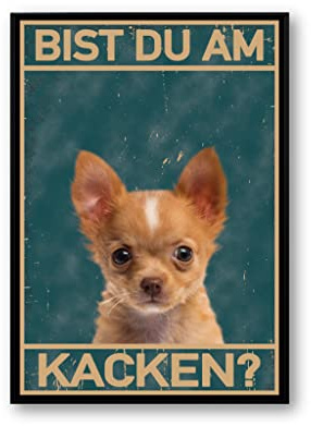 Mountiki Bist du am kacken Hund Bild Poster | Badezimmer WC Toilette Deko, Gästebad, Lustiger Spruch, Gäste-Klo Dog