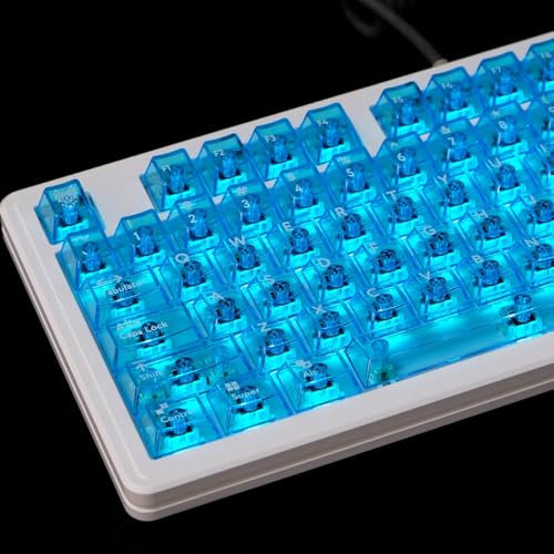 mintcaps Crystal Clear Keyboard Keycaps Transparent PC Cherry Profile Blue Keycap Set 114 Keys Shine Through Key Cap for Cherry Gateron Mx Switches Mechanical Keyboard