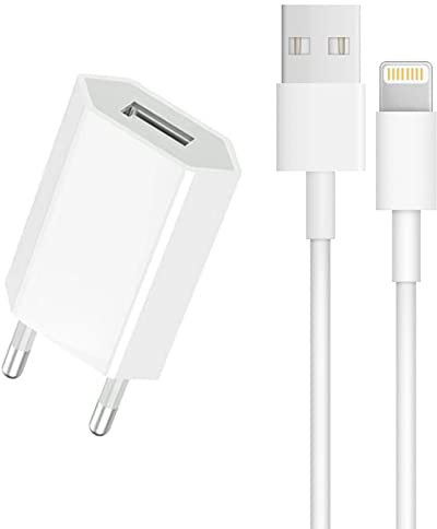 5V 1A USB Chargeur pour i Phone 10 11 12 13 Pro Max XR X XS Max 8 8 Plus 7 7 Plus 6 6s 6s Plus Se 5s Airpods iPad avec i Phone Câble