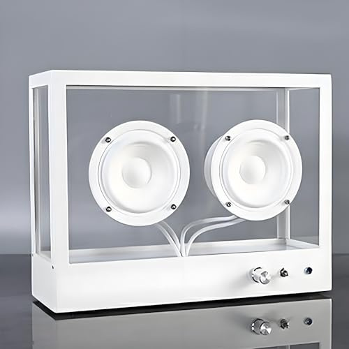 LHQYA Enceinte Bluetooth Transparente, Enceinte Portable, Compatible Bluetooth, USB Et AUX, Offrant Un Son Pur Et Naturel, Idéale pour Les Bureaux, Les Cafés Et Les Expositions d'art