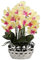 Oairse Plante Artificielle orchidée, Fleurs artificielles, avec de Vraies Fleurs, en céramique, pour décoration de Table, Chambre à Coucher, Salle de Bain, Salon, Höhe 44cm, Jaune