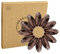Reskthetic - kleine hochwertige Spiral Haargummi, schonend zum Haar, nachhaltig, umweltfreundlich, (Telefonkabel, Zopfgummis) für Mädchen & Frauen/Damen (Braun, 10 x 2,5 cm)