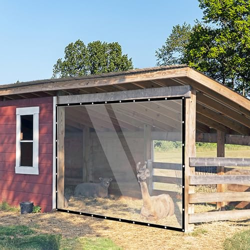 FoundGo 2x3m Transparente Abdeckplane mit Ösen [PE Material 130 g/m²] wasserdichte Regenschutz Durchsichtige Plane Outdoor Abdeckfolie Inkl. 4X Planenspannern