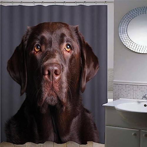 AKATIE Labrador Retriever Duschvorhang 180x200 Hund Tier Schwarz Bad Vorhäng Anti-Schimmel Textil Anti-Bakteriel 3D Wasserdicht Duschvorhänge Badewanne mit 12 Hooks