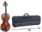 GEWA Violine, Violingarnitur Serie Maestro 2 VL 4, 3/4 Spielfertig inkl. Violinkoffer, Carbon Bogen und Larsen Aurora Saiten