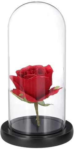 QUARKZMAN Glas Glocke Vitrine 20 x 9 cm Holz Sockel Glasglocke Schwarz | Tischdekoration, Für Pflanzen Home Deko Büro Hochzeit Party