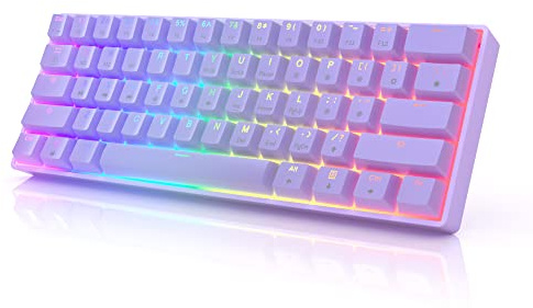 HKKB GK61 Mechanical Gaming Keyboard 60 Percent | 61 RGB Rainbow LED Backlit Programmable Keys | USB Wired | for Mac and Windows PC | Hotswap Gateron Mechanical Blue Switches | Lavender