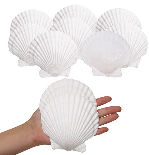 Giftvest 10PCS Sea Shells White Scallop Shells for Crafts Baking Cooking Serving Food, 4-5 inch Large Natural Seashells for DIY Crafts Seashell Beach Decorations for Home Decor