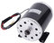 1000W Elektromotor, 36V DC Motor 3000 U/min Magnetmotor für Moped Fahrräder Pocket Bike Roller E-Bike Elektrofahrzeuge