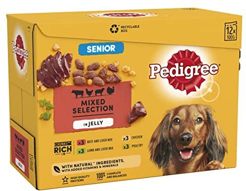 Pedigree Senior Wet Dog Food Vital Protection in Jelly for Senior Dogs, 48 Pouches (48 x 100 g)