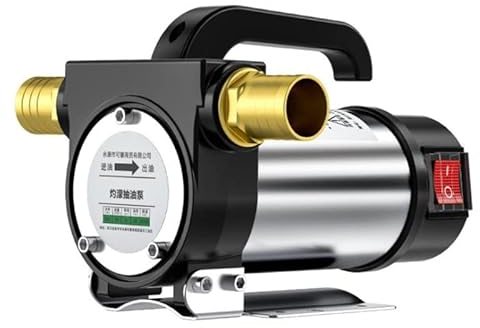 wrtgerht Mini Bomba pequeña 1 2V 24V 220V 580W 50L / Min Bomba de Aceite eléctrico/autoploqueo for la Bomba de pozos de Combustible de Transferencia de Queroseno Diesel (Voltage : 220V)