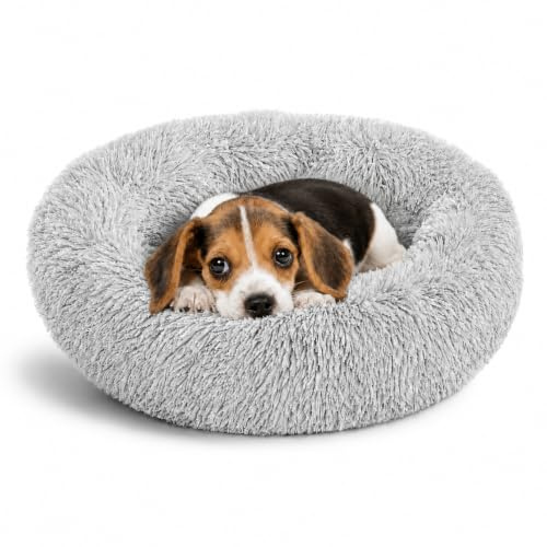 Whiskers & Friends Cat Bed, Cat Beds for Indoor Cats Washable, Orthopedic Soft Fluffy Round Calming Pet Bed for Small to Large Kitty Kittens & Dogs, Small Dog Beds & Furniture