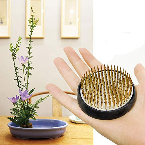 Blumenfrosch-Halter, rund, 6,1 cm