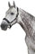 Eskadron Halfter Double Pin in tealblue, softgrey oder Caviar, Größe:Warmblut extra, Farbe:Caviar