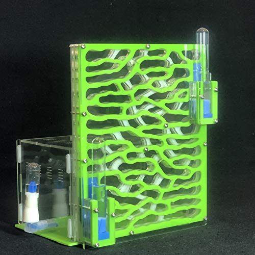 Gran Granja de Hormigas Acrílica DIY Con Área de Alimentación - Casa de Hormigas Grandes, Nido Villa Insecto Mascota, Hormiguero Taller 6 Capas 19,5 * 15 * 22 cm (Green)