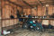 MOTORRAD Fototapete VLIES-250x186 cm (3591A)-Route 66 Vintage Auto Retro Cars Holzwand Wandtapete-Inkl. Kleister-Vliestapete Bild Dekoration Wand-Dekor Moderne Motiv-Tapete Panorama Poster XXL