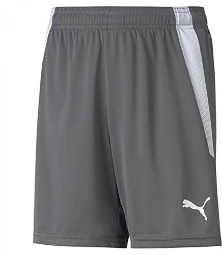 PUMA Unisex Baby Teamliga Shorts Jr, Grau, 152