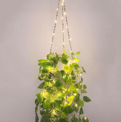 2 Pack Hanging Planters for Indoor Plants with LED Lights, Watering Hanging Pots Hanging Baskets Hanging Flower Pots with Drainage Holes & Removable Tray Outdoor Hanging Plants for Boho Home Window
