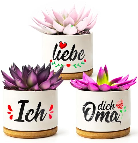 WEDNOK 3 Stück Oma Blumentöpfe Beste Oma Geschenke Muttertagsgeschenk Ich Liebe Dich Oma Geburtstagsgeschenk Sukkulenten Topf mit Untersetzer für Großmutter Geburtstag Muttertag Weihnachten