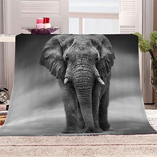 Aolity Kuscheldecke 150x200 cm Elefant Natur Tier Grau Decke Camping Kuscheldecke Flanelldecke Weich Wohndecke Sofadecke Decke für Kinder Erwachsene Kuscheldecke Draußen
