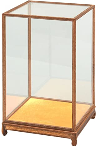 DOITOOL Vitrine Transparente en Verre : Vitrine pour Objets de Collection.