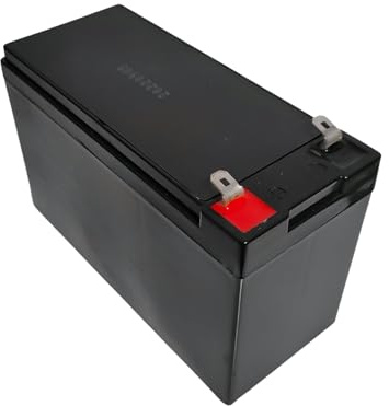 Mondial Toys Batteria al piombo ricaricabile alta capacità per veicoli elettrici per bambini (12V, 9Ah)