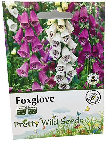 26,000 Seeds Perennial Flower Digitalis PURPUREA Foxglove Mixed Colours 26,000 Seeds by Pretty Wild Seeds…