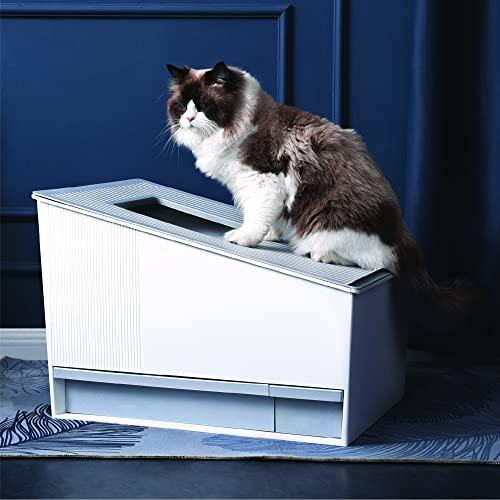 HONEY CARE Lettiera autopulente per gatti, lettiera automatica per più gatti, con APP e sistema vocale Alexa Smart Secure Control, bianco opaco